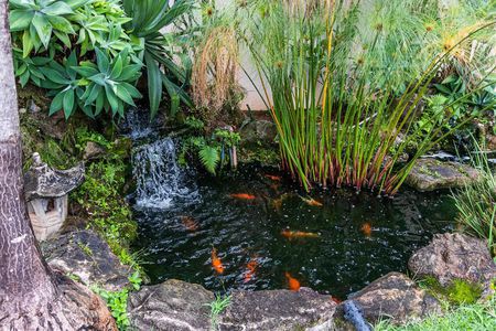 Casa à venda com 850m², 6 quartos e 5 vagas Casa à venda com 850m², 6 quartos e 5 vagasÁrea Externa