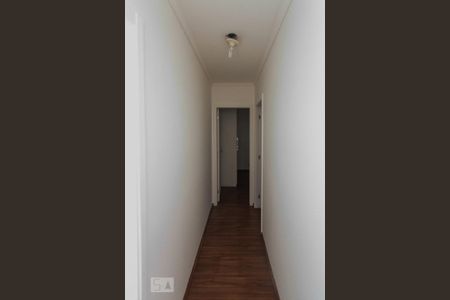 Corredor de apartamento para alugar com 2 quartos, 46m² em Jardim Vila Formosa, São Paulo