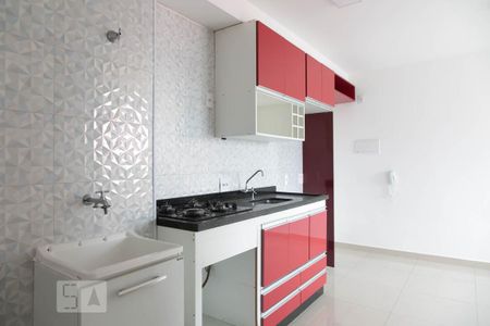 Apartamento para alugar com 40m², 2 quartos e 1 vagaCozinha - Armários