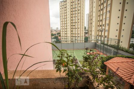 Apartamento à venda com 75m², 3 quartos e 2 vagasVista