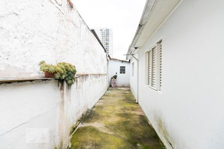 Casa à venda com 400m², 2 quartos e 4 vagasQuintal