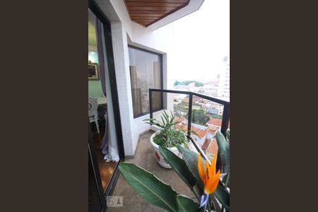 Apartamento à venda com 230m², 3 quartos e 3 vagas Apartamento à venda com 230m², 3 quartos e 3 vagasSacada