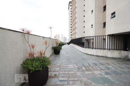 Apartamento para alugar com 58m², 2 quartos e 1 vaga Apartamento para alugar com 58m², 2 quartos e 1 vagaÁrea comum