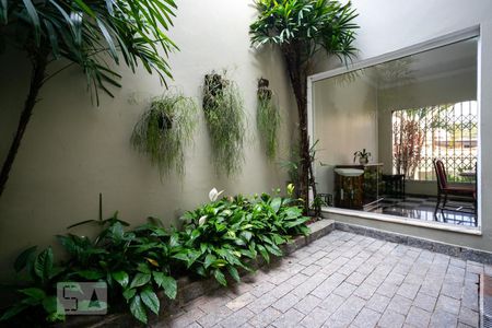 Jardim de inverno de casa para alugar com 3 quartos, 300m² em Parque Mandaqui, São Paulo