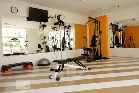 Apartamento para alugar com 110m², 3 quartos e 2 vagas Apartamento para alugar com 110m², 3 quartos e 2 vagasÁrea comum - Academia