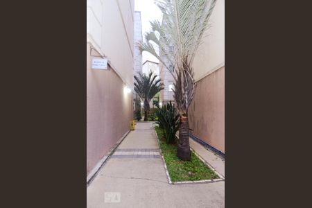 Apartamento para alugar com 41m², 2 quartos e 1 vagaÁrea Externa
