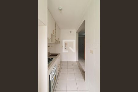 Cozinha e Área de Serviço de apartamento para alugar com 2 quartos, 40m² em Vila Jerusalem, São Bernardo do Campo