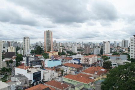 Apartamento à venda com 240m², 3 quartos e 3 vagasvista quintal