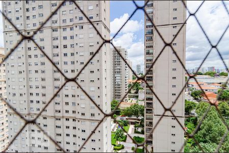 Vista da Sala de apartamento para alugar com 3 quartos, 124m² em Vila Mascote, São Paulo
