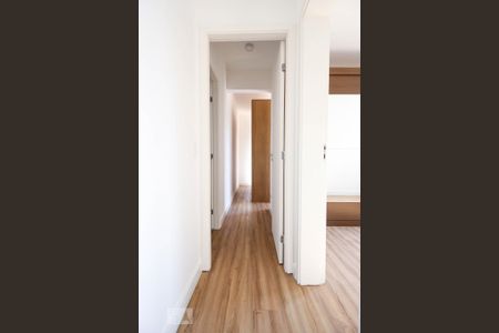 Corredor de apartamento para alugar com 2 quartos, 72m² em Santana, São Paulo