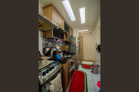 Cozinha  de apartamento para alugar com 2 quartos, 50m² em Vila Vermelha, São Paulo
