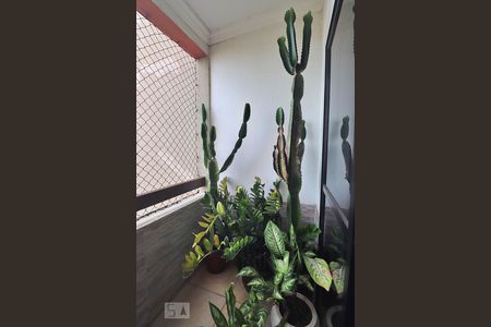 Varanda da Sala de apartamento à venda com 2 quartos, 68m² em Vila Homero Thon, Santo André