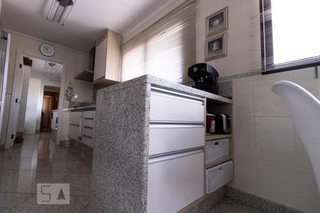 Apartamento à venda com 204m², 4 quartos e 3 vagasCozinha / Copa - Armários