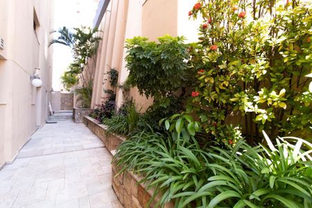 Apartamento à venda com 204m², 4 quartos e 3 vagasÁrea Comum - Área Verde