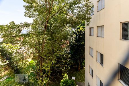 Vista da sala  de apartamento para alugar com 2 quartos, 56m² em Engenheiro Goulart, São Paulo