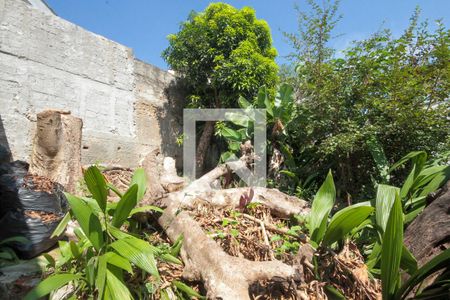 Casa à venda com 303m², 3 quartos e sem vagaQuintal do fundo