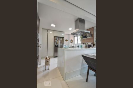 Apartamento à venda com 240m², 5 quartos e 4 vagasCozinha