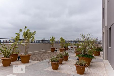 Apartamento à venda com 36m², 2 quartos e 1 vagaÁrea comum - Área de convivência