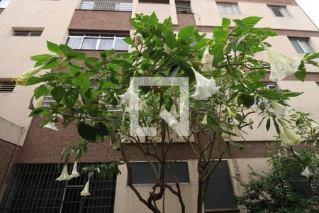 Apartamento para alugar com 80m², 2 quartos e 1 vagaÁrea comum