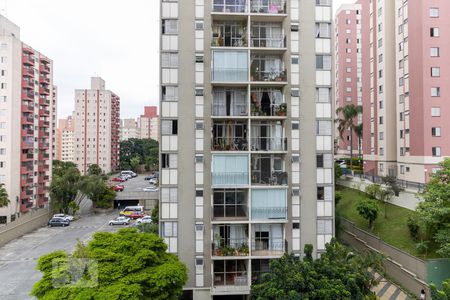 Apartamento à venda com 64m², 2 quartos e 1 vagaVista da Lavanderia