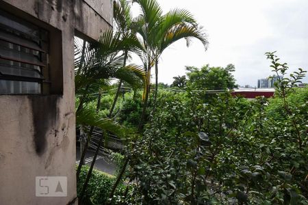 Casa à venda com 421m², 7 quartos e 6 vagasVista da suíte