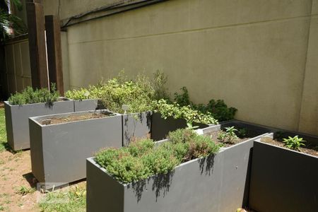 Apartamento à venda com 61m², 2 quartos e 1 vagaHorta