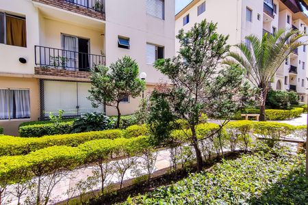 Vista da Varanda de apartamento para alugar com 2 quartos, 52m² em Jardim das Palmas, São Paulo