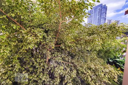 Apartamento à venda com 52m², 2 quartos e 1 vagaVista do Quarto 1