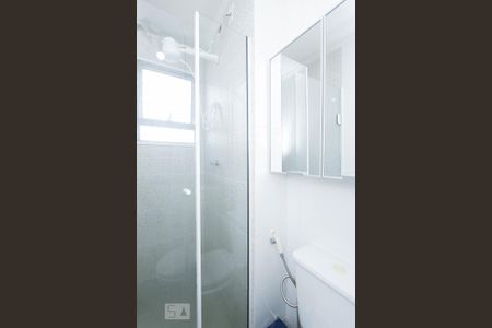 BANHEIRO SOCIAL de apartamento para alugar com 2 quartos, 43m² em Protásio Alves, Porto Alegre