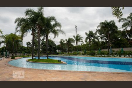 Área comum - Piscina de apartamento à venda com 3 quartos, 210m² em Vila Leopoldina, São Paulo