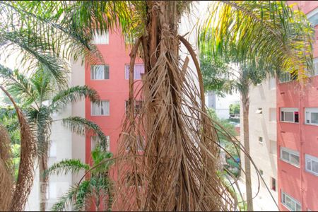 Apartamento à venda com 44m², 2 quartos e sem vaga Apartamento à venda com 44m², 2 quartos e sem vagaVista Quarto 2