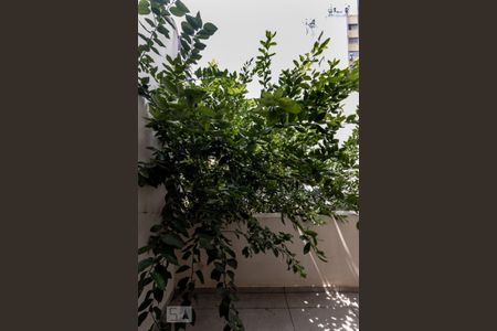 Casa de condomínio para alugar com 110m², 3 quartos e 2 vagas Casa de condomínio para alugar com 110m², 3 quartos e 2 vagasQuarto 2