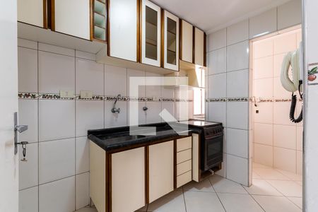 Cozinha de apartamento para alugar com 2 quartos, 52m² em Vila Pierina, São Paulo
