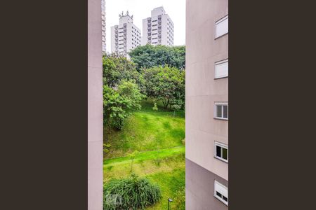 Vista da Varanda de apartamento para alugar com 2 quartos, 47m² em Jardim Monte Alegre, Taboão da Serra
