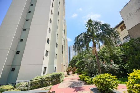 Area Comum de apartamento para alugar com 2 quartos, 56m² em Jardim das Vertentes, São Paulo