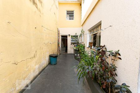 Casa à venda com 220m², 5 quartos e 5 vagasQuintal