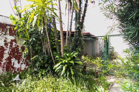 Casa para alugar com 360m², 3 quartos e 2 vagas Casa para alugar com 360m², 3 quartos e 2 vagasQuintal