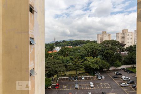 Vista da Sala de Estar de apartamento para alugar com 2 quartos, 49m² em Vila Nova Cachoeirinha, São Paulo