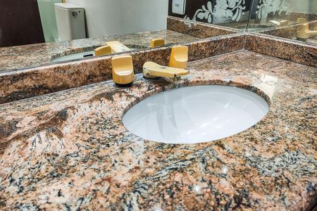 Apartamento à venda com 247m², 4 quartos e 3 vagasBanheiro Suíte 2 - Detalhe