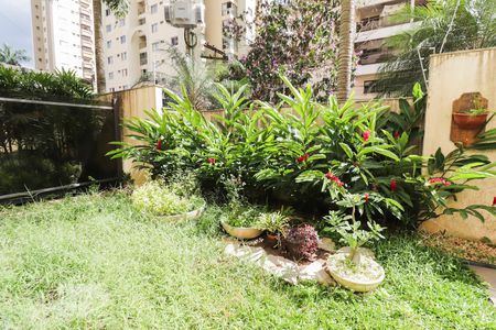 Apartamento para alugar com 78m², 3 quartos e 1 vaga Apartamento para alugar com 78m², 3 quartos e 1 vagaÁrea comum