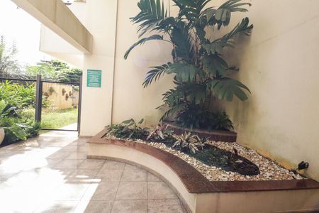 Apartamento para alugar com 78m², 3 quartos e 1 vaga Apartamento para alugar com 78m², 3 quartos e 1 vagaÁrea comum