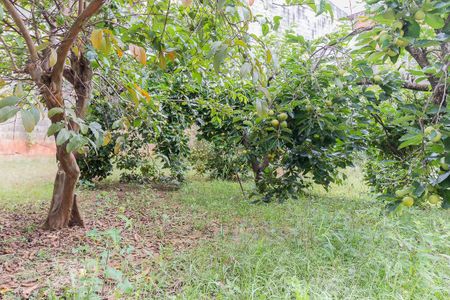 Casa para alugar com 296m², 3 quartos e 4 vagasQuintal dos fundos