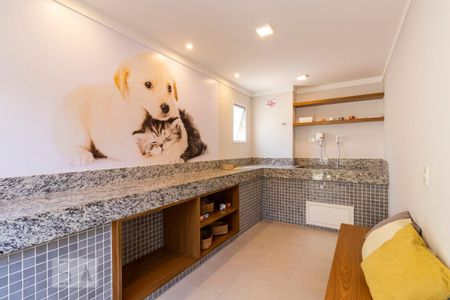 Área comum - Pet Care de apartamento para alugar com 1 quarto, 26m² em Cambuci, São Paulo