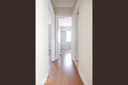 Corredor de apartamento para alugar com 2 quartos, 54m² em Parque Maria Domitila, São Paulo