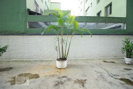 Vista da Sala de apartamento à venda com 2 quartos, 54m² em Aclimação, São Paulo