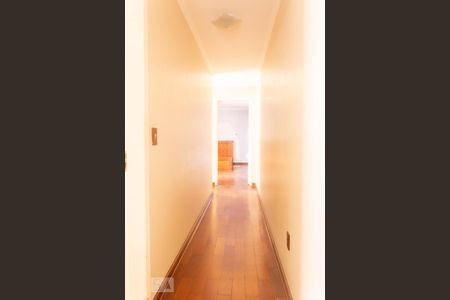 Casa para alugar com 200m², 6 quartos e 6 vagas Casa para alugar com 200m², 6 quartos e 6 vagasCorredor