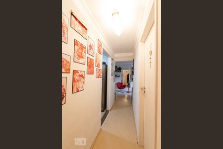 Corredor de apartamento para alugar com 2 quartos, 55m² em Vila Invernada, São Paulo