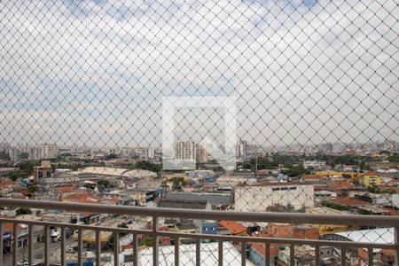 Vista da Varanda de apartamento para alugar com 3 quartos, 66m² em Vila Guilherme, São Paulo