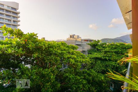 Apartamento à venda com 750m², 5 quartos e 6 vagasVista da Varanda da Sala