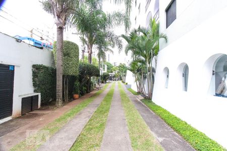 Apartamento para alugar com 49m², 2 quartos e 1 vaga Apartamento para alugar com 49m², 2 quartos e 1 vagaentarda